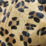 Leopard print leather hide